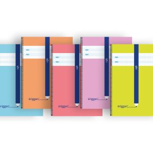 Cuaderno cartoncillo ERIGGAN FOLIO 80H C/5 Mm